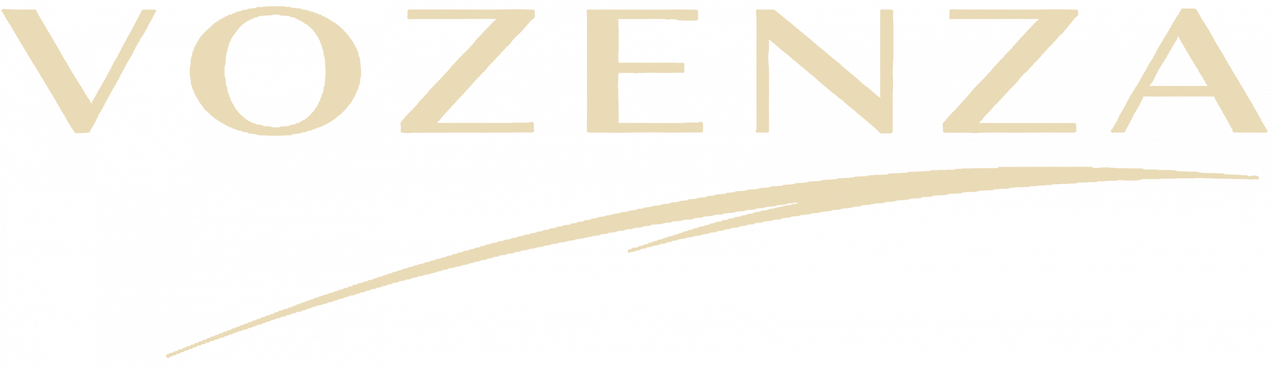 Vozenza_Logo-Crm_Footer